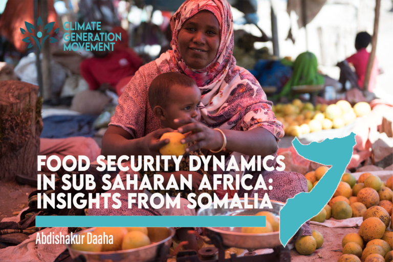 Food Security Dynamics in Sub‑Saharan Africa: Insights from Somalia